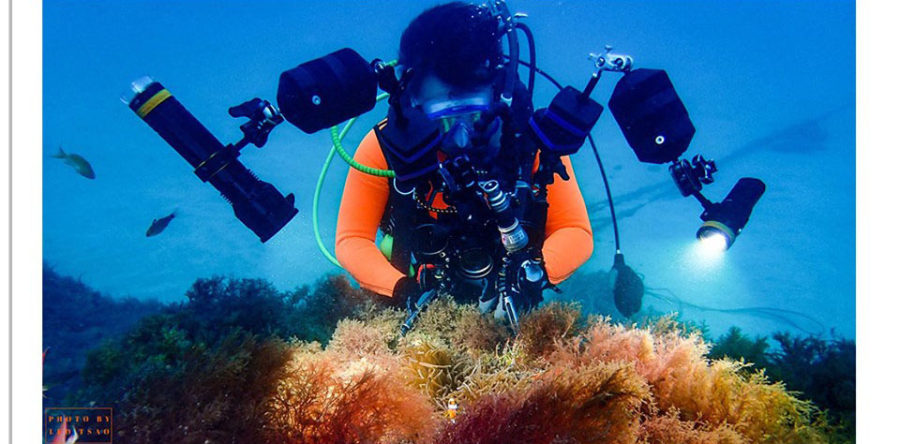 水中錄影教學(非平面拍照)-招生簡章