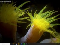 水下錄影需要多亮的燈才夠