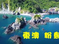 潛水祕境–東澳粉鳥林