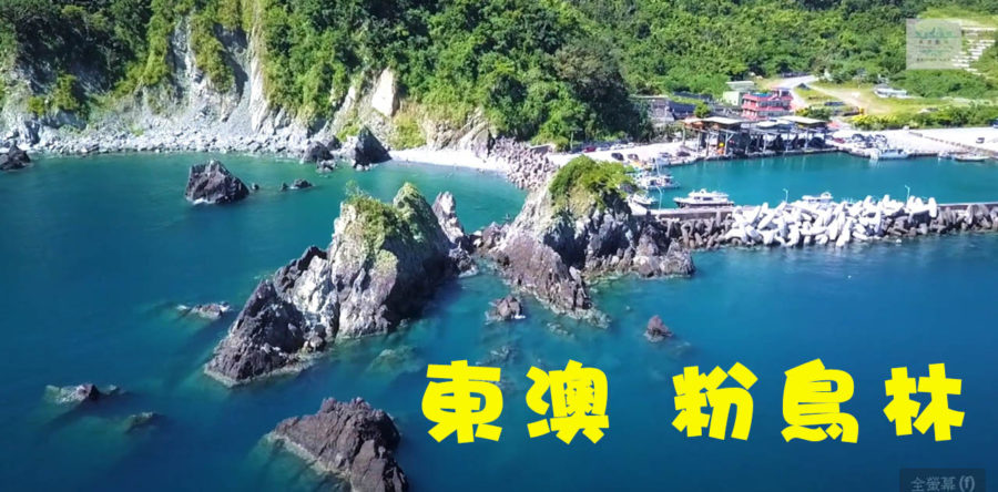 潛水祕境–東澳粉鳥林