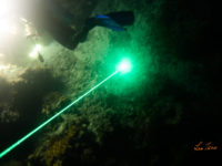 orcatorch D570-GL(雷射)使用心得