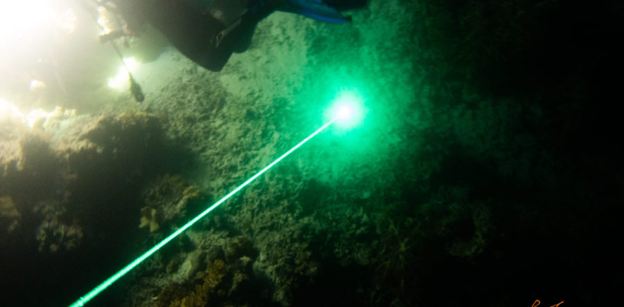 orcatorch D570-GL(雷射)使用心得