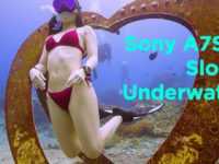 Sony A7S3 Underwater Slog3 Test Ambient Light + STC Filter