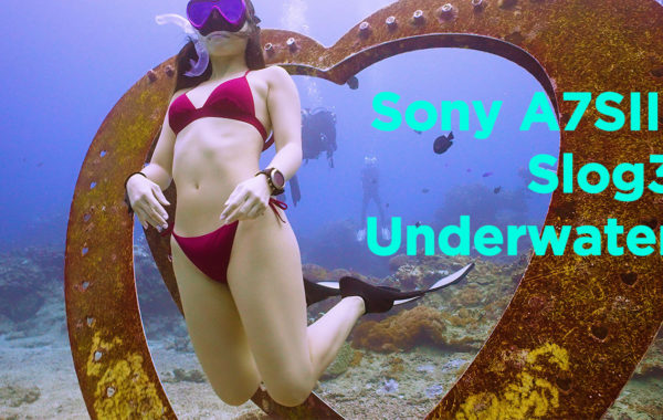 Sony A7S3 Underwater Slog3 Test Ambient Light + STC Filter