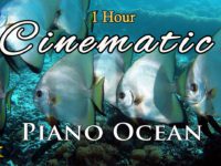 Ocean Cinematic Piano Music /4K Underwater World/ 鋼琴電影式配樂/舒壓/美麗海底世界