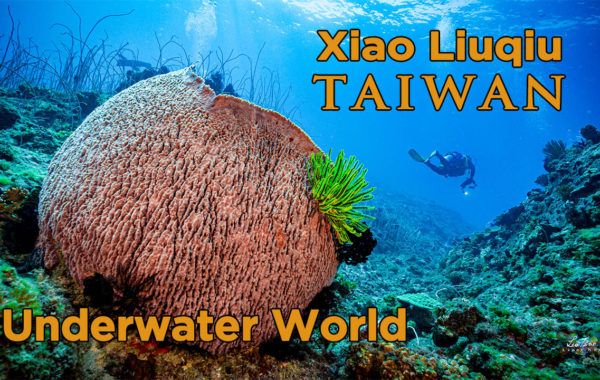 小琉球/4K 美麗海底世界/Xiao Liuqiu Beautiful Underwater World