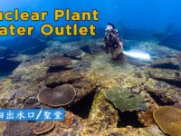 核四出水口/ 4K 海底世界/聖堂 | Nuclear Power Plant Water Outlet