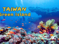 4K Underwater Green Island Taiwan Diving/綠島/美麗海底世界