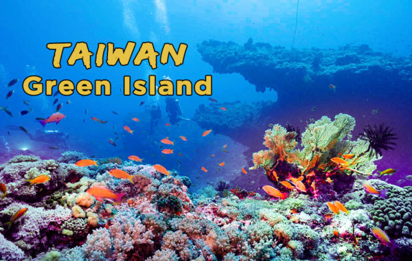 4K Underwater Green Island Taiwan Diving/綠島/美麗海底世界