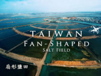 FPV Avata Cinematic Taiwan Fan-Shaped Salt Field | 扇形鹽田/生命之樹/台灣