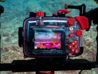 Olympus TG6潛水殼 淹水處理建議