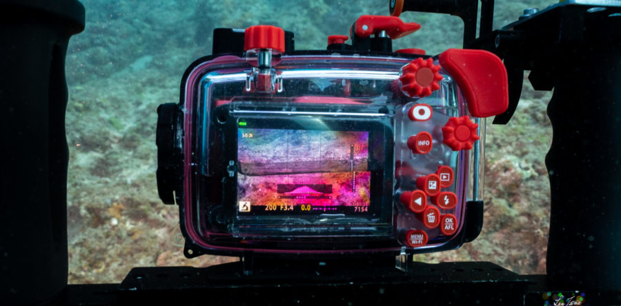 Olympus TG6潛水殼 淹水處理建議