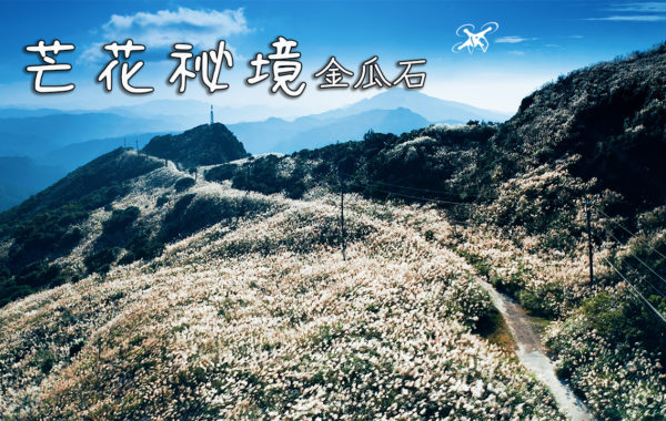 4K 芒花祕境/大粗坑/貂山古道/不厭亭 | Taiwan Miscanthus Secret Trail